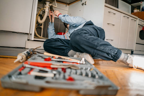 Best Sprinkler Systems  in Emmaus, PA